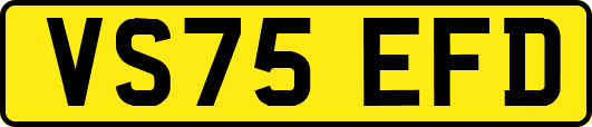 VS75EFD