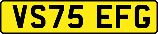 VS75EFG
