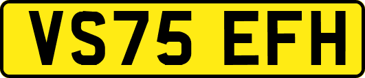 VS75EFH