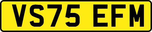 VS75EFM