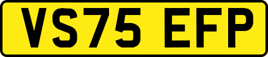 VS75EFP