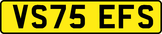 VS75EFS
