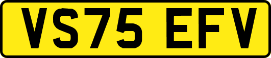 VS75EFV