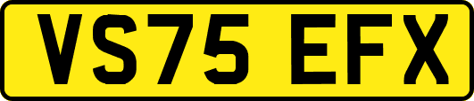 VS75EFX
