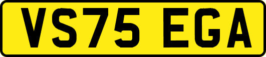 VS75EGA