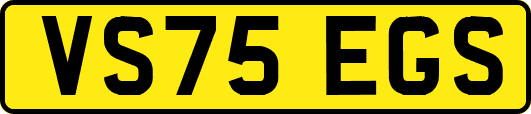 VS75EGS