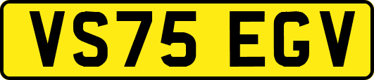 VS75EGV