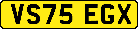 VS75EGX