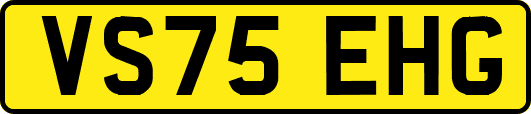 VS75EHG