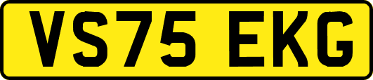 VS75EKG