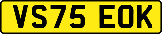 VS75EOK