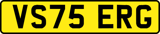VS75ERG