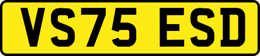 VS75ESD