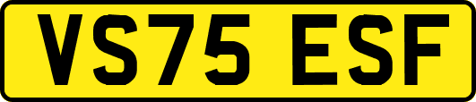 VS75ESF