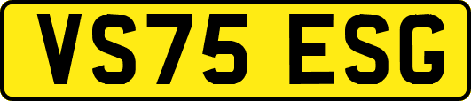 VS75ESG