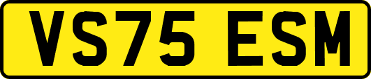 VS75ESM