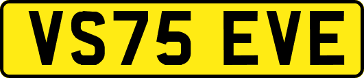 VS75EVE