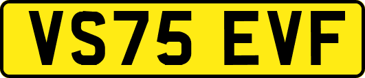 VS75EVF