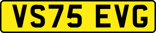VS75EVG
