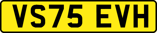 VS75EVH