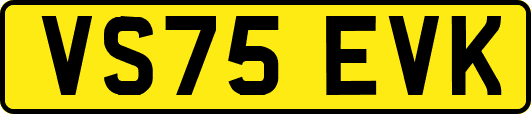 VS75EVK