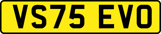 VS75EVO