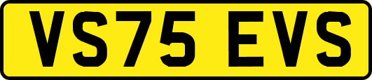 VS75EVS