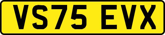 VS75EVX
