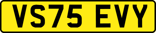 VS75EVY