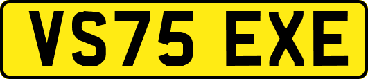 VS75EXE
