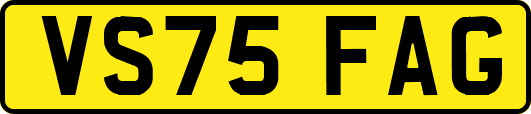 VS75FAG