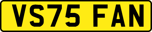 VS75FAN
