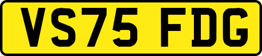 VS75FDG