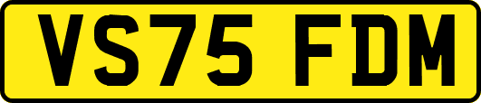 VS75FDM