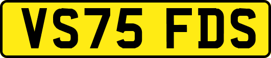 VS75FDS