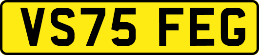 VS75FEG