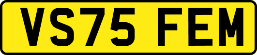 VS75FEM