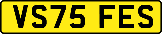 VS75FES