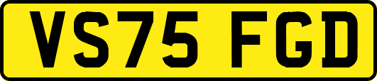 VS75FGD