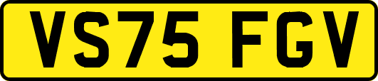 VS75FGV