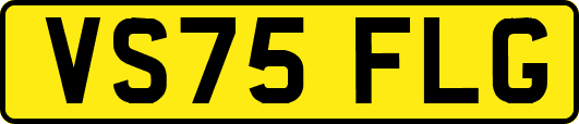VS75FLG