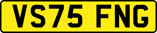 VS75FNG