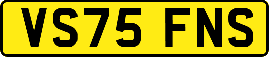 VS75FNS