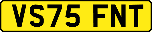 VS75FNT