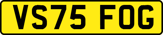 VS75FOG