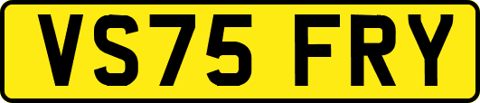 VS75FRY