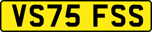 VS75FSS