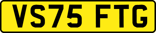 VS75FTG