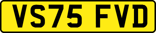VS75FVD