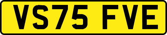 VS75FVE